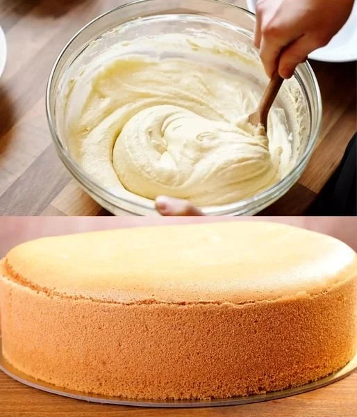 Einfaches Biskuit-Rezept für fluffigen Biskuitkuchen