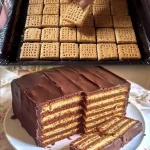 Kalter Hund - Traditioneller deutscher Keks-Kuchen aus Schokolade und Butterkeksen.