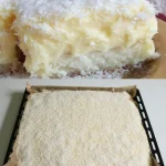 Kokoskuchen mit cremigem Vanillepudding auf einem Teller serviert