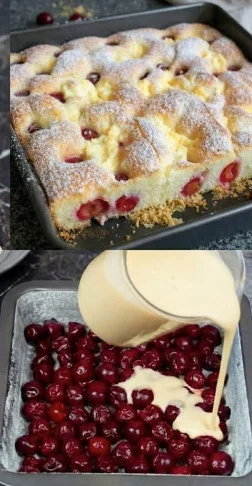 Schneller Quark-Kirschkuchen – einfach in 5 Minuten zubereitet