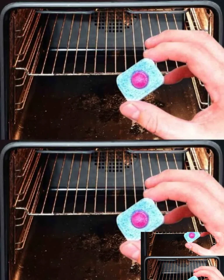 Reinigen eines Backofens mit Tipps zur Entfernung von verbranntem Fett