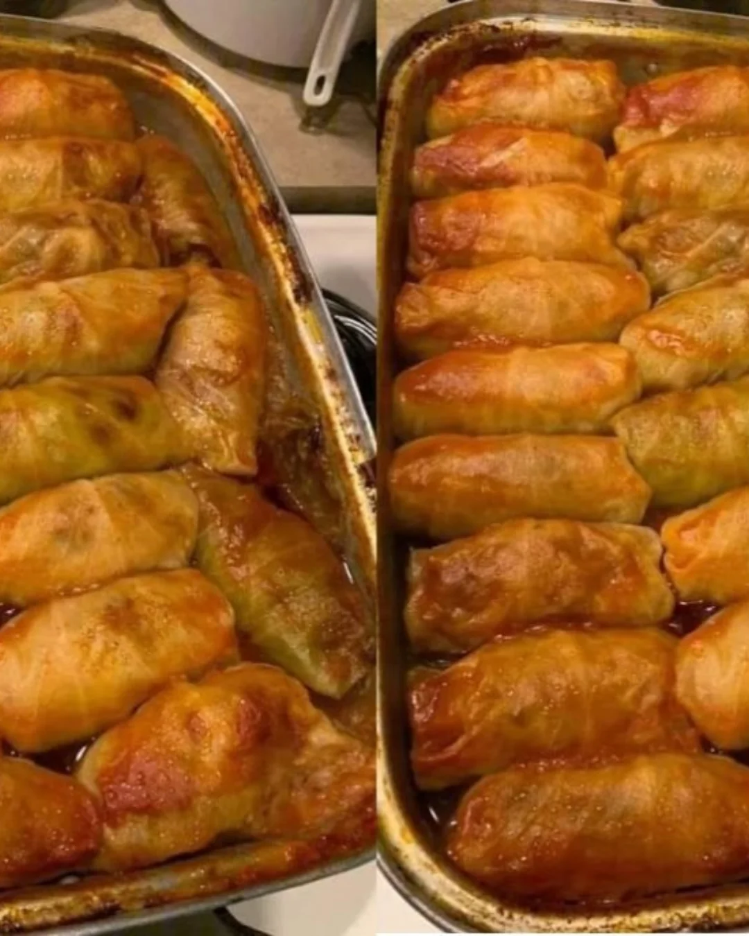 Gefüllte Kohlrabi-Rollen auf einem Teller, garnierte mit frischen Kräutern